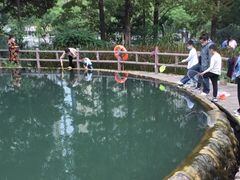-成都市活水公园
