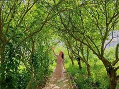 -白沙门生态公园