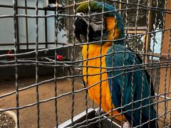 -南宫五洲植物乐园