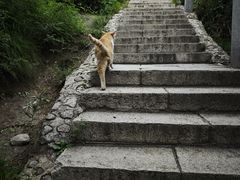 -北京凤凰岭
