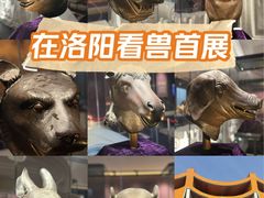 -隋唐大运河文化博物馆