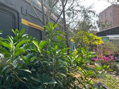 -湖南别院·美学庭院餐厅(惠阳店)