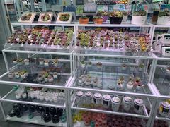 -KKV(天津津南吾悦广场店)
