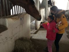 -月河湾马术俱乐部(朝阳店)