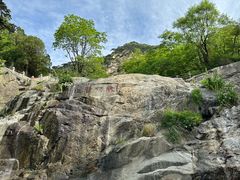 -泰山风景名胜区