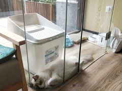 -派联宠物医院·24h·CT·异宠