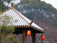 -无锡梅园公园