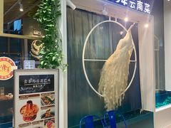 -雀舞云南菜(乐客城店)