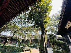 -天一阁博物院