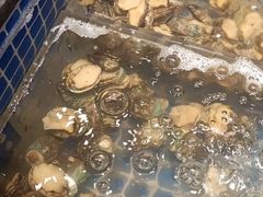 -亚马逊海鲜自助(梅溪湖步步高店)