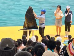 -秦皇岛乐岛海洋王国