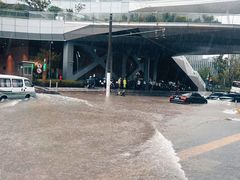 -上海游泳馆(地铁站)