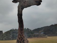-乐和乐都主题乐园