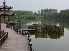 -溱湖国家湿地公园