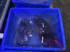 -八仔大富楼·河鲜(西江店)