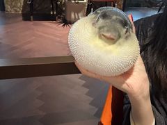 -肆月河豚·淮扬菜·湘菜(华天店)