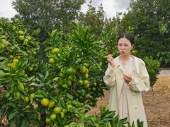 -上海长兴岛郊野公园