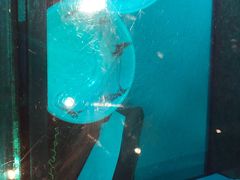 -辛香汇(大华第一坊店)