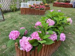 -昱南托育园.托班晚托.寒暑假班