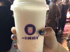 -一只酸奶牛(八一路店)