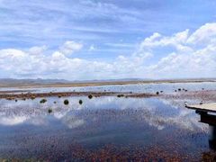 -花湖生态旅游区