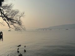 -西湖天地