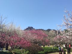-杭州植物园