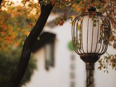 -老门东历史文化街区