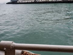 -天星小轮码头