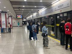 -桃浦新村(地铁站)