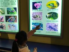 -上海昆虫博物馆