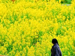 -中国天府农业博览园