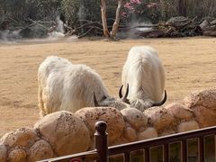 -西安秦岭野生动物园