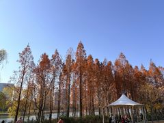 -尚贤河湿地