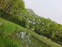 -新江湾城公园