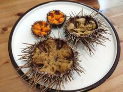 -海胆小馆(东北水饺·春柳店)