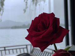 -柳莺湖上·湖景餐厅·江南菜(西湖店)