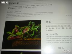 -王家渡火锅店(棕榈泉店)