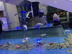 -鸿腾国际大酒店-海鲜姿造海鲜烤肉自助餐