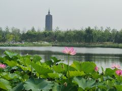 -西海子公园