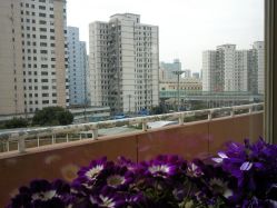 住院部-上海市长宁区妇幼保健院