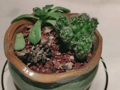 -天瑞轩·粤菜餐厅
