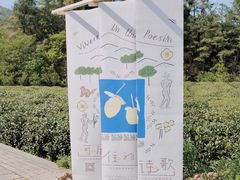 -龙坞茶村
