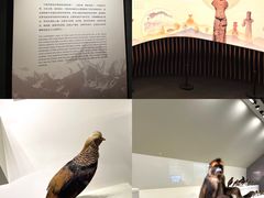 -四川大学博物馆