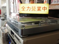 -巴浪鱼咖啡馆 Local Fish
