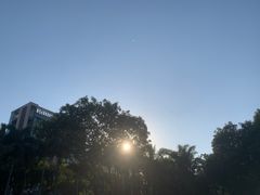 -深圳龙潭公园