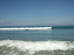 -Bamboo Bar & Grill Restaurant