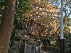 -水濂山森林公园