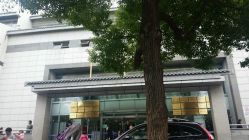 -苏州大学附属儿童医院(景德路院区)