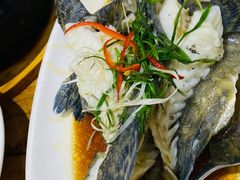 清蒸石斑鱼-金家港海鲜大排档(中山路店)